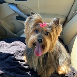 Meet your Posher, Christine